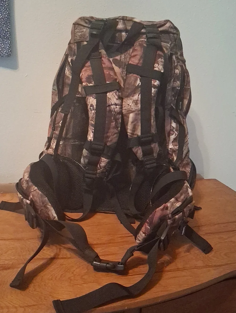 Sportchief Hiking Backpack Scent Zero Antimicrbial